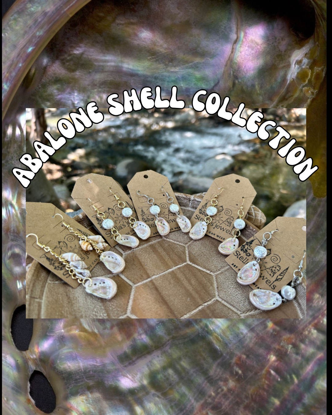 Abalone shell collection