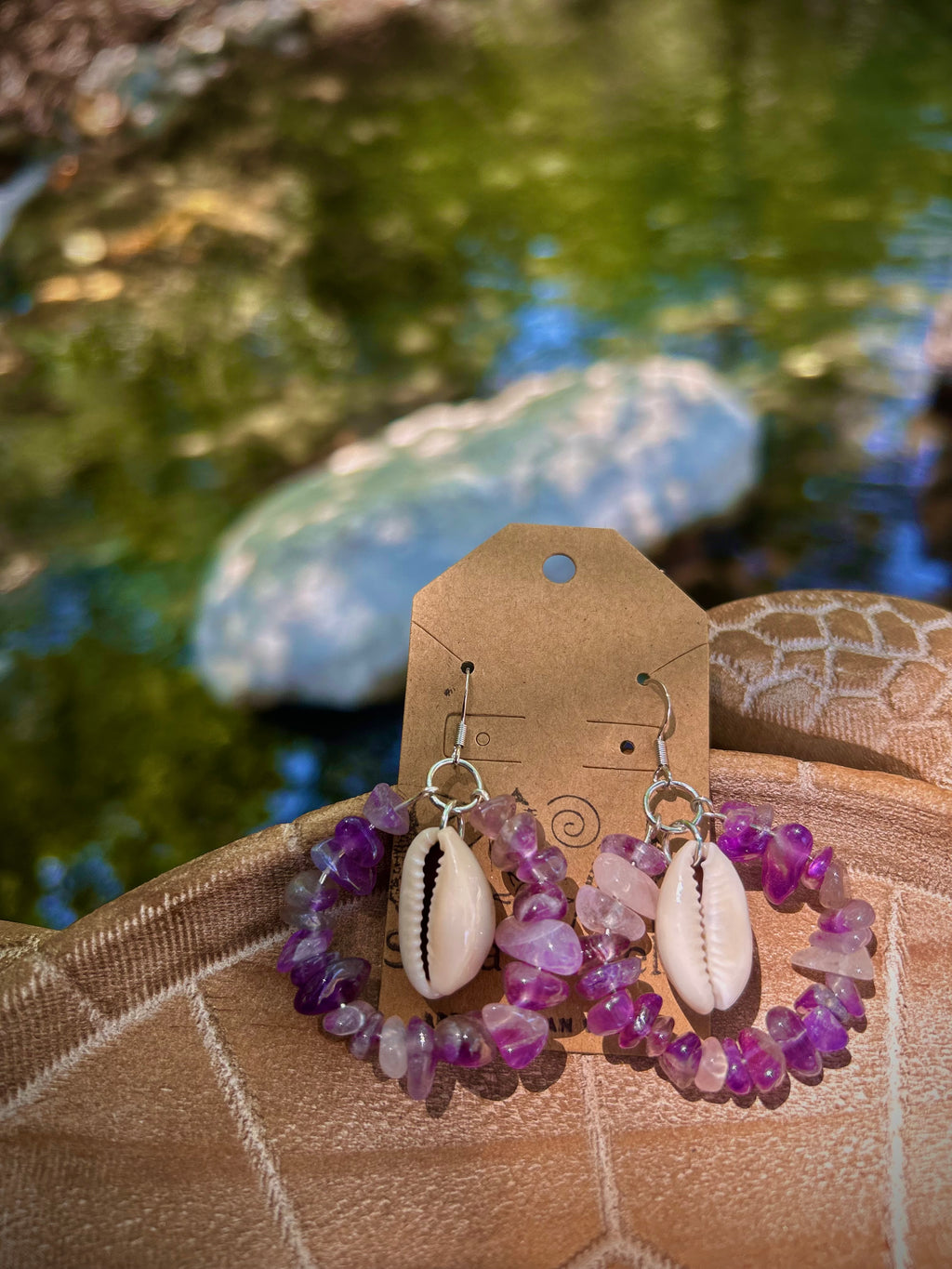 Rainbow Cowire shell earrings