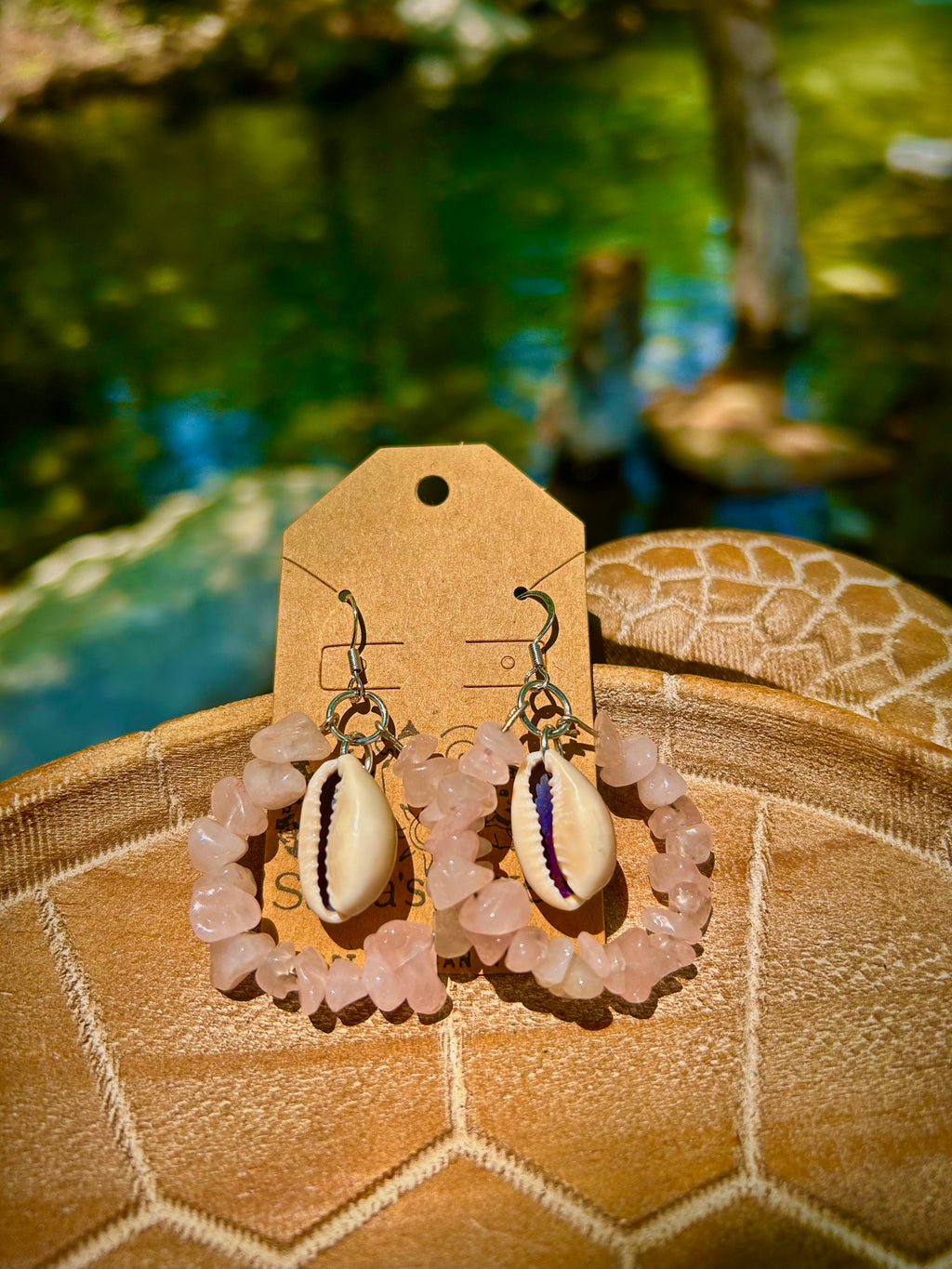 Rainbow Cowire shell earrings