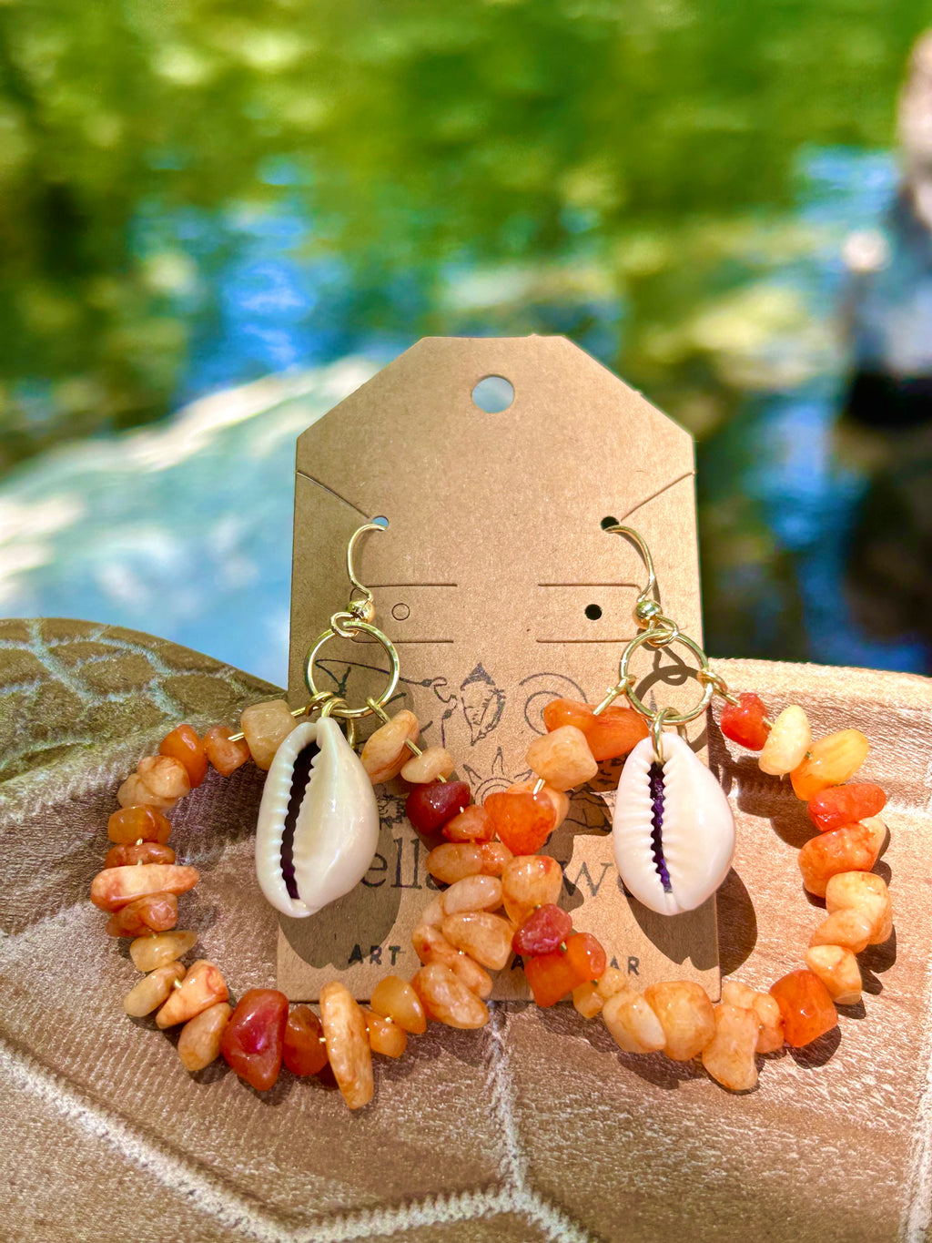 Rainbow Cowire shell earrings